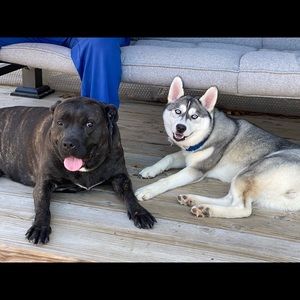 Meet your Posher, Adrienne